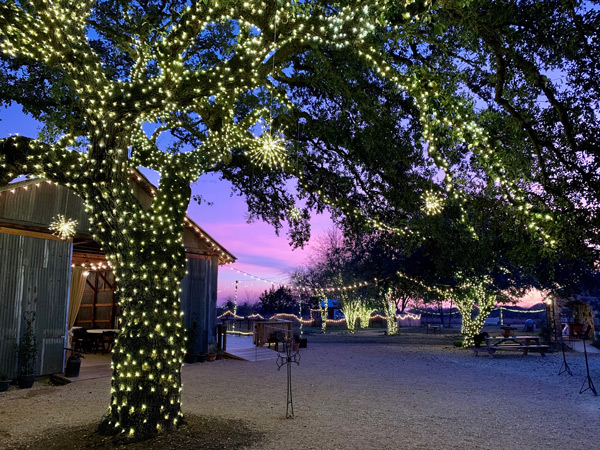 Texas Rock House Tree Lights